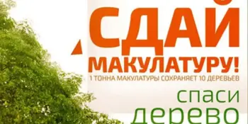 Сдай макулатуру – спаси дерево!