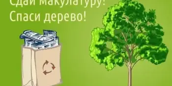 Сдай макулатуру – спаси дерево!