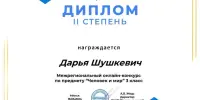 Итоги участия в олимпиаде SkyBel