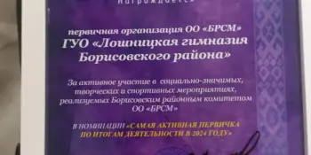 XIX Пленум Борисовской районной организации общественного объединения "Белорусский республиканский союз молодежи"