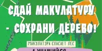 "Сдай макулатуру – спаси дерево!"