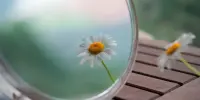 Совет недели! НАША ЖИЗНЬ - ЭТО ОТРАЖЕНИЕ НАШИХ МЫСЛЕЙ!