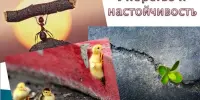 Совет недели! Ничто в этом мире не заменит упорство и настойчивость!