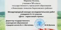 Международный конкурс исследовательских работ учащихся "Дети-герои моей страны"