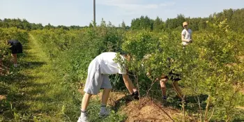 Трудовая деятельность – главное направление работы лагеря труда и отдыха