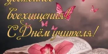 УВАЖАЕМЫЕ ПЕДАГОГИ ЛОШНИЦКОЙ ГИМНАЗИИ!