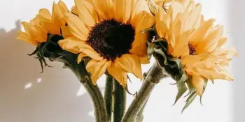 8-801-100-16-11 — это Общенациональная детская телефонная линия помощи