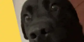 Паучи: маленький пакетик – большая опасность