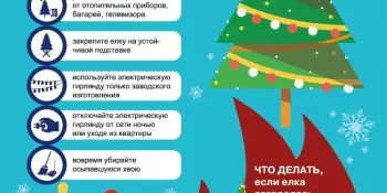 Правила безопасности при установке новогодней ёлки
