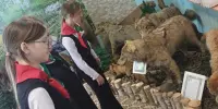 ФОТОФАКТ | Гимназисты 7 "А" класса в музее природы Борисовского центра экологии и туризма