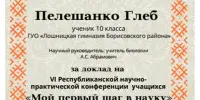 МЫ ТАКИЕ: УМНИКИ И УМНИЦЫ