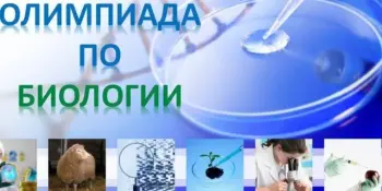 МЫ ТАКИЕ: УМНИЦЫ И УМНИКИ