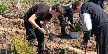 Лес памяти, который растёт вместе с нами