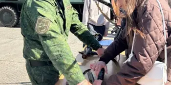 Воспитательно-оздоровительный лагерь "Сборы: Лошницкая гимназия"