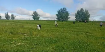 Будущее начинается с земли, а любовь к ней - в лагере „Хобби-Фест"