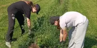 Будущее начинается с земли, а любовь к ней - в лагере „Хобби-Фест"