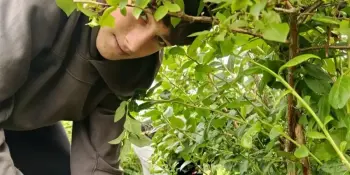 🌿 Лето на финишной прямой. А мы - на старте