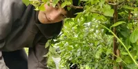 🌿 Лето на финишной прямой. А мы - на старте