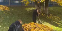 🍂 Лошница становится чище - и в этом есть вклад наших гимназистов!